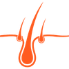 Icono